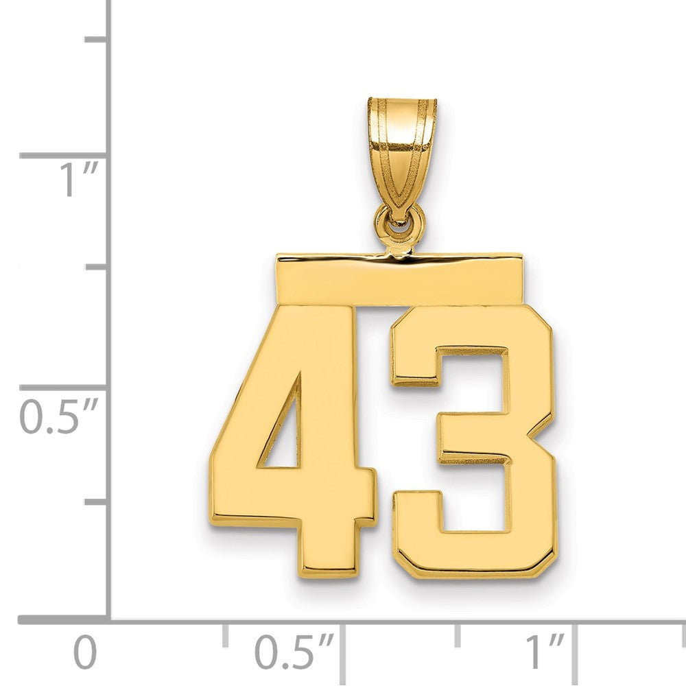 14k Yellow Gold Medium Polished Number 43 Charm