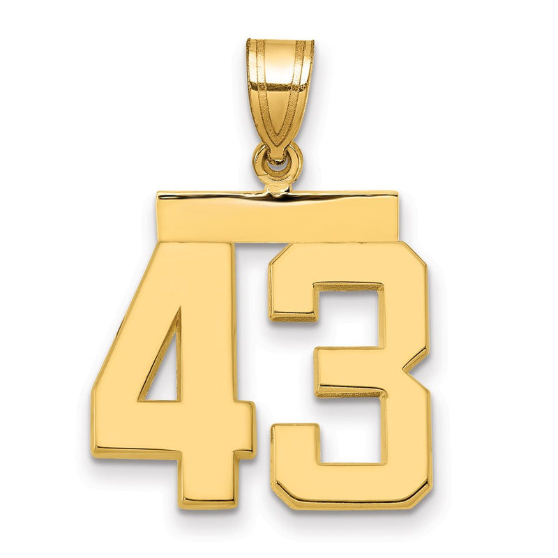 14k Yellow Gold Medium Polished Number 43 Charm