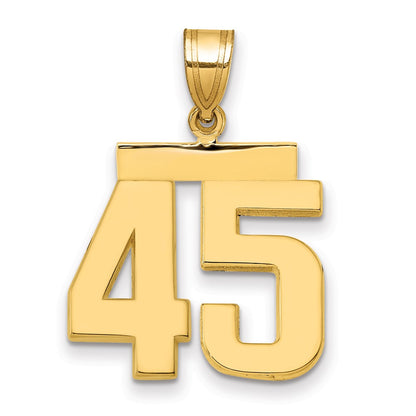 14k Yellow Gold Medium Polished Number 45 Charm