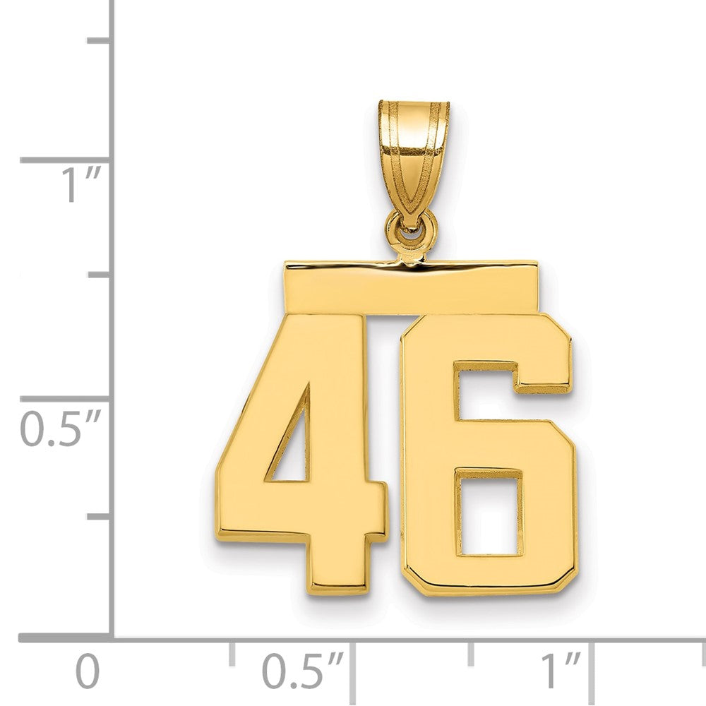 14k Yellow Gold Medium Polished Number 46 Charm