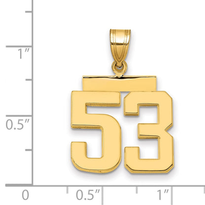 14k Yellow Gold Medium Polished Number 53 Charm