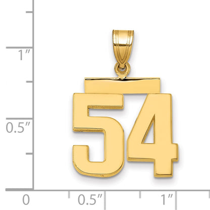 14k Yellow Gold Medium Polished Number 54 Charm