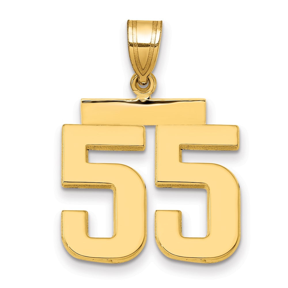 14k Yellow Gold Medium Polished Number 55 Charm