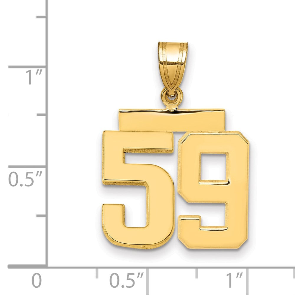 14k Yellow Gold Medium Polished Number 59 Charm