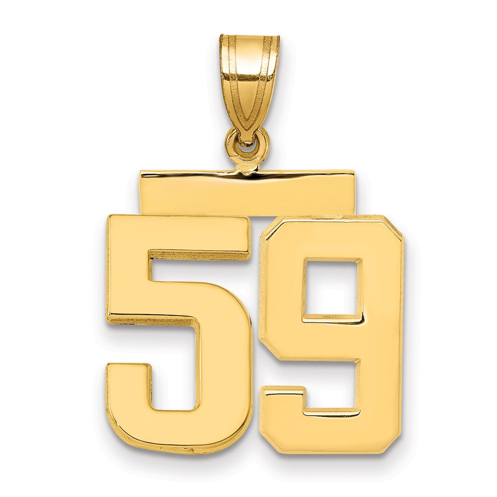 14k Yellow Gold Medium Polished Number 59 Charm