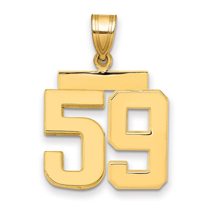 14k Yellow Gold Medium Polished Number 59 Charm