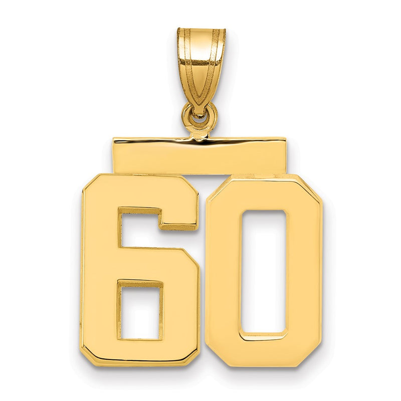 14k Yellow Gold Medium Polished Number 60 Charm