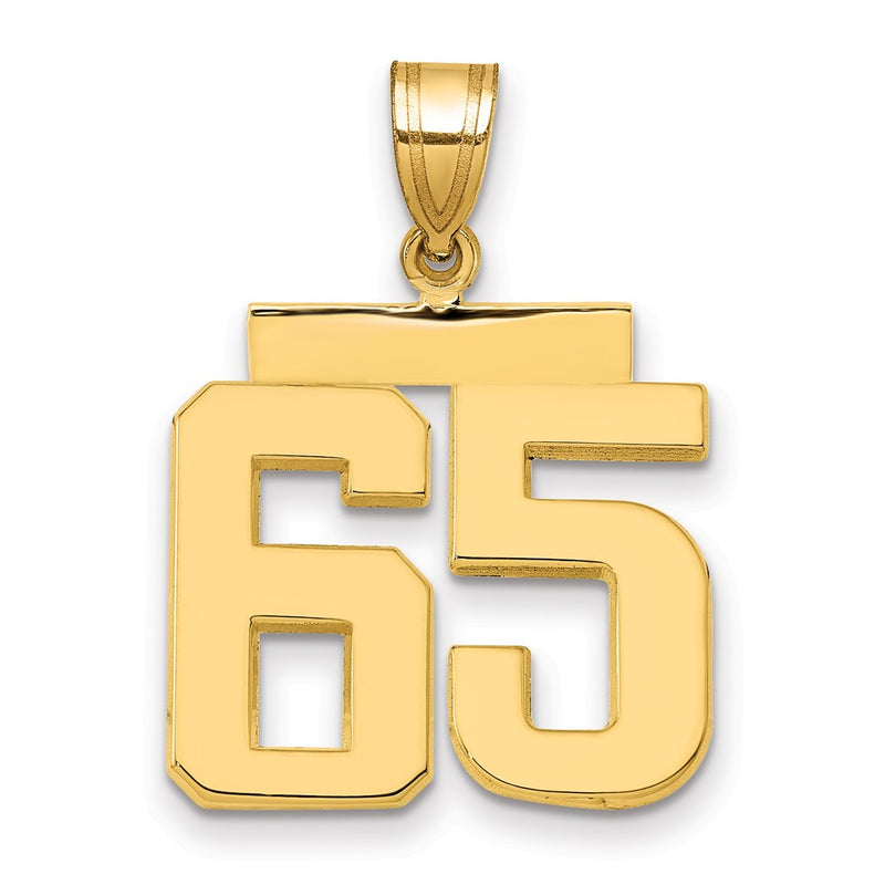 14k Yellow Gold Medium Polished Number 65 Charm