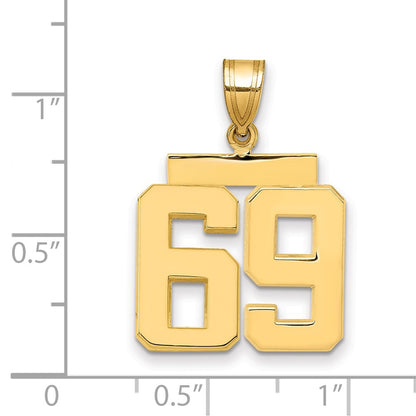 14k Yellow Gold Medium Polished Number 69 Charm