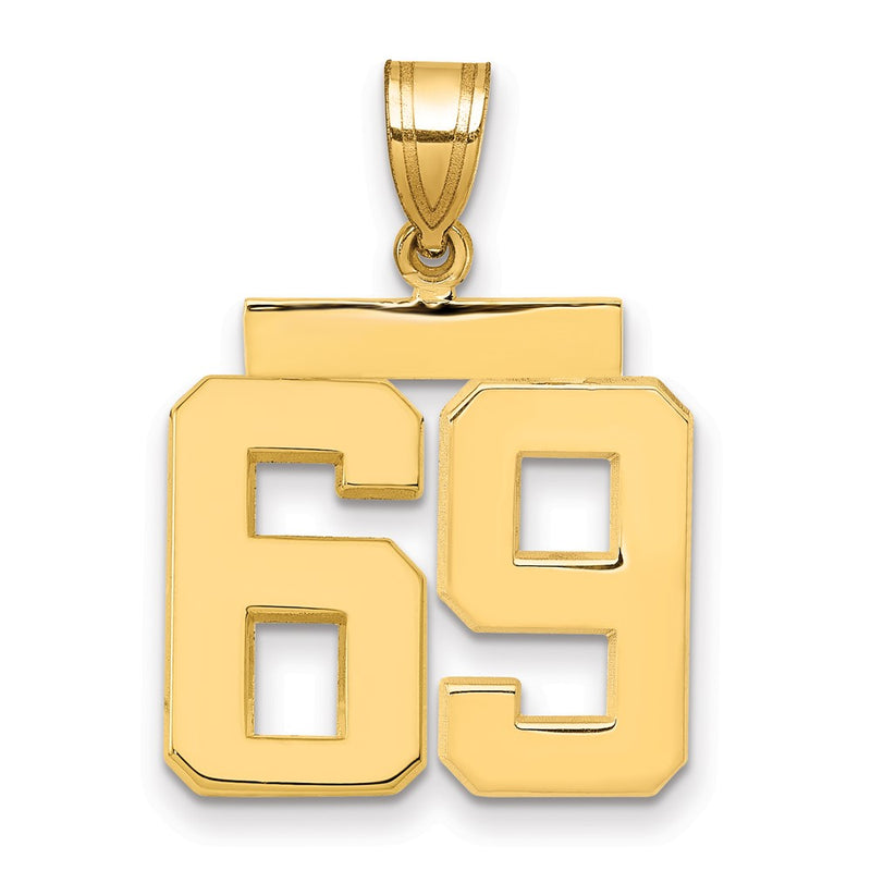 14k Yellow Gold Medium Polished Number 69 Charm