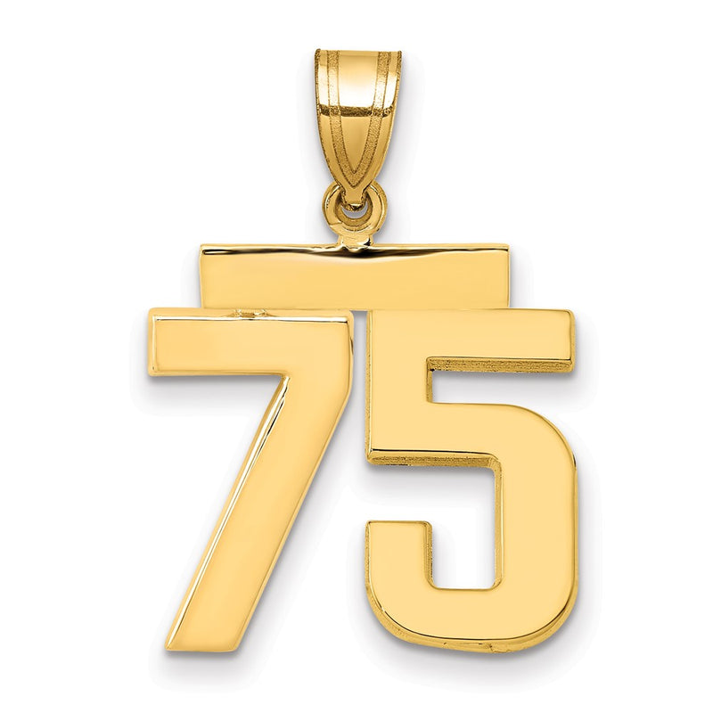 14k Yellow Gold Medium Polished Number 75 Charm