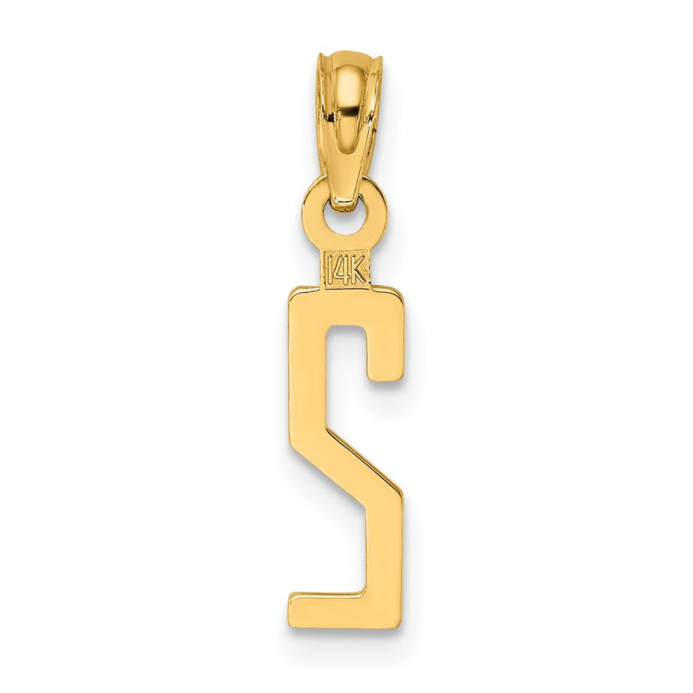 14K Yellow Gold Polished Number 2 Pendant