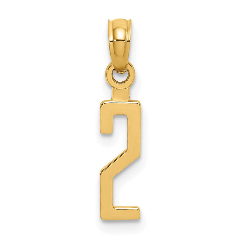 14K Yellow Gold Polished Number 2 Pendant