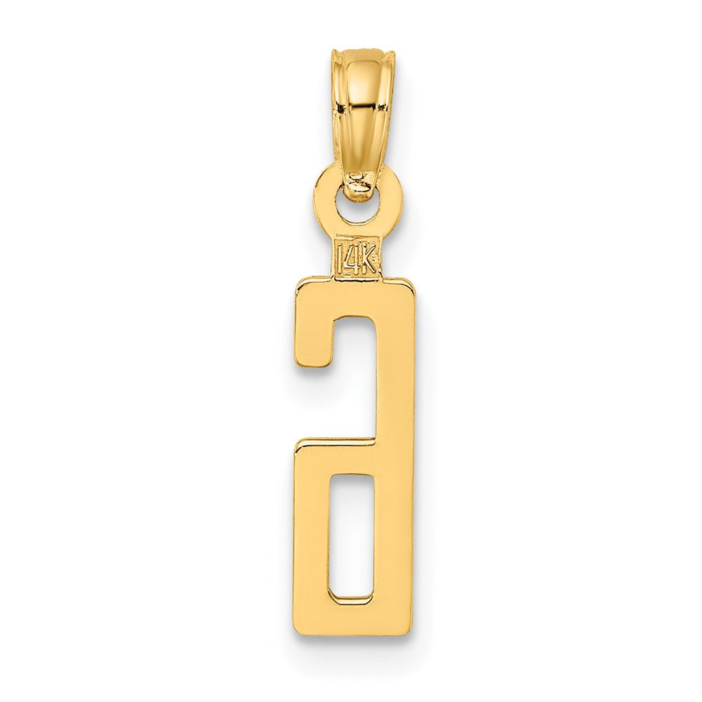 14K Yellow Gold Polished Number 6 Pendant