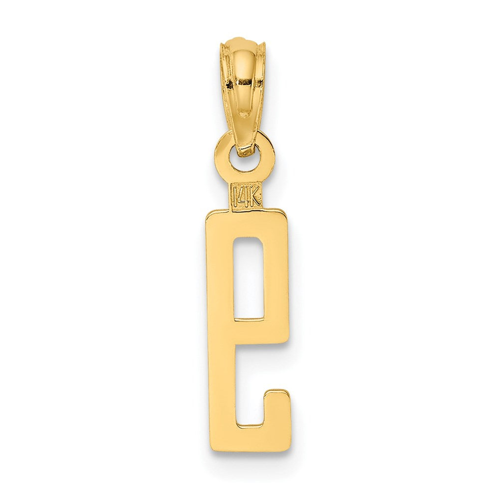 14K Yellow Gold Polished Number 9 Pendant
