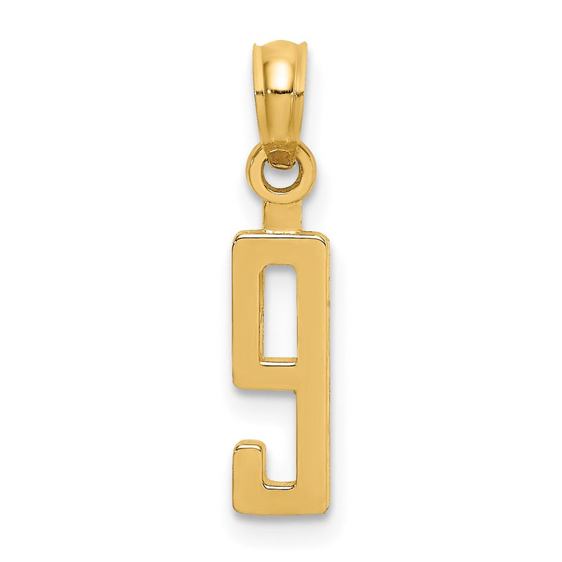 14K Yellow Gold Polished Number 9 Pendant
