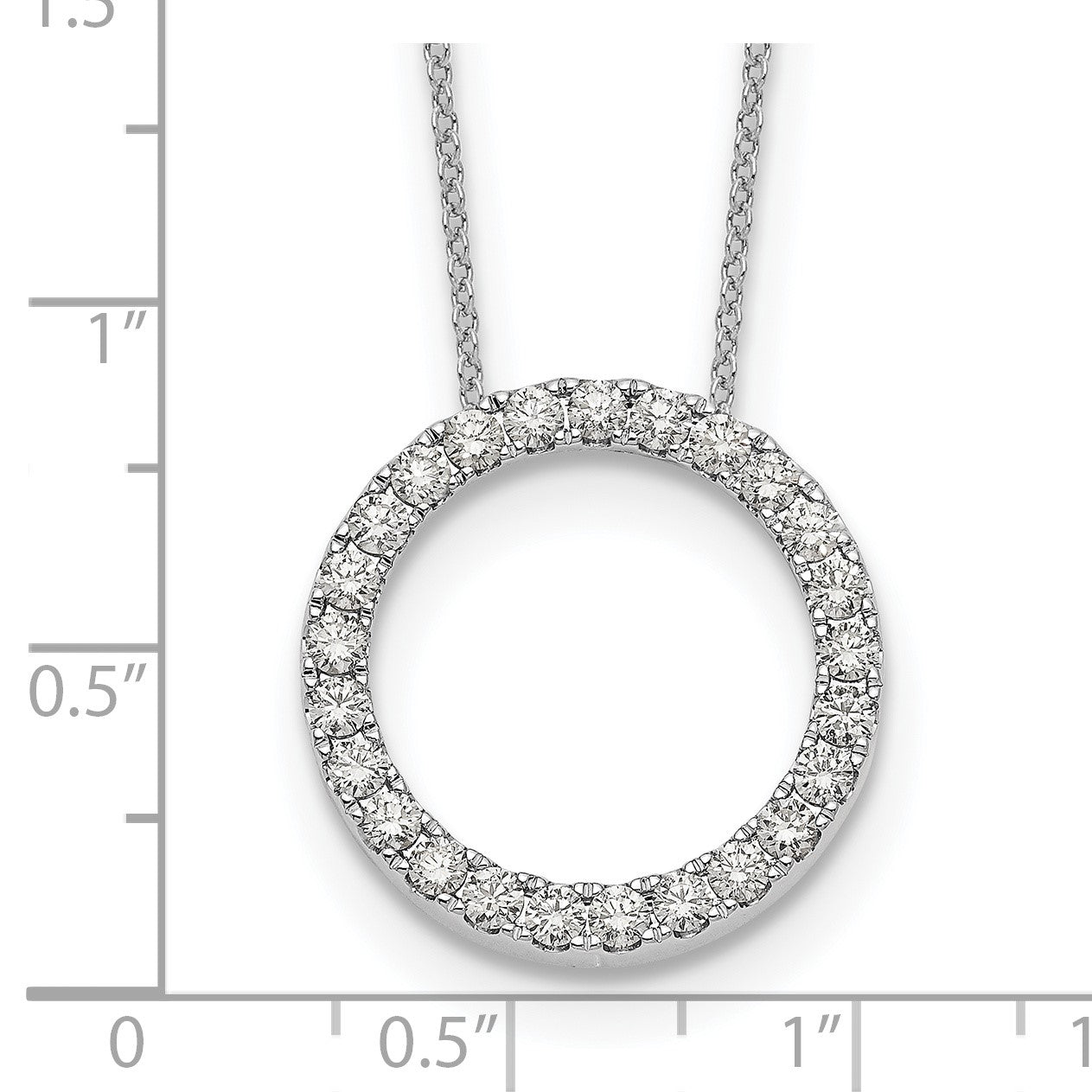 PM1002-100-WLD [QG:PM1002-100-WLD:6]
