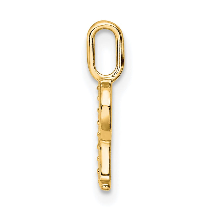 10K Yellow Gold 10K Diamond Letter P Initial Pendant