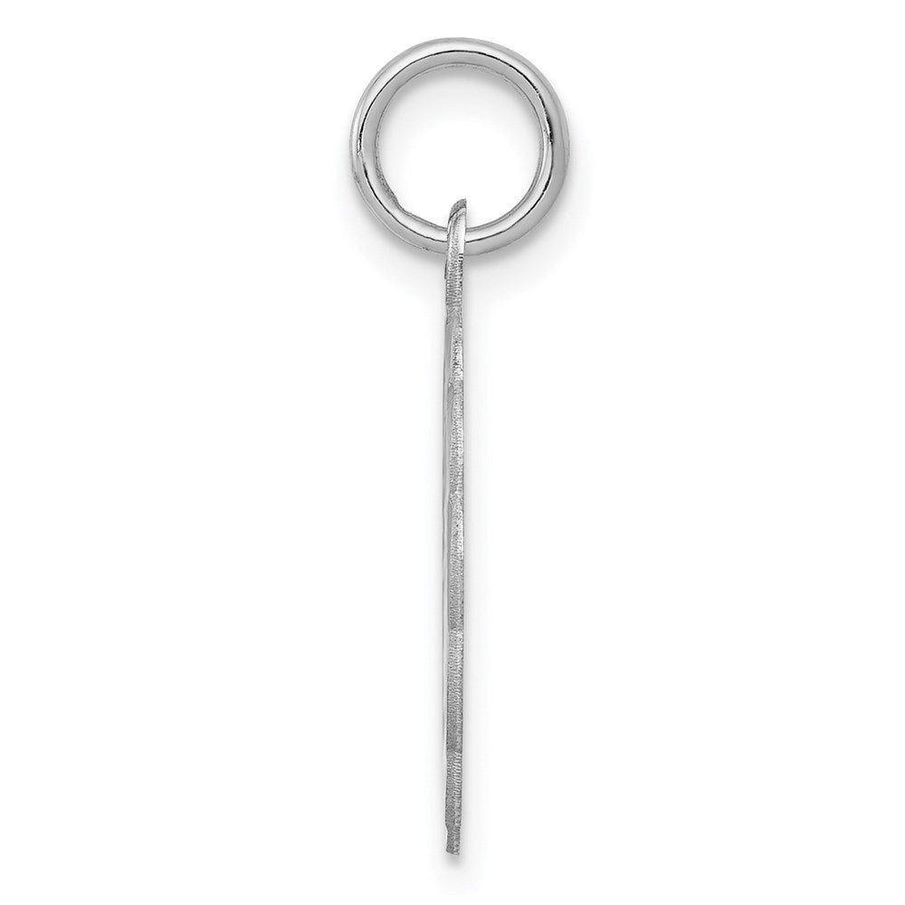 Sterling Silver Rhodium-Plated Graduation Day Disc Charm