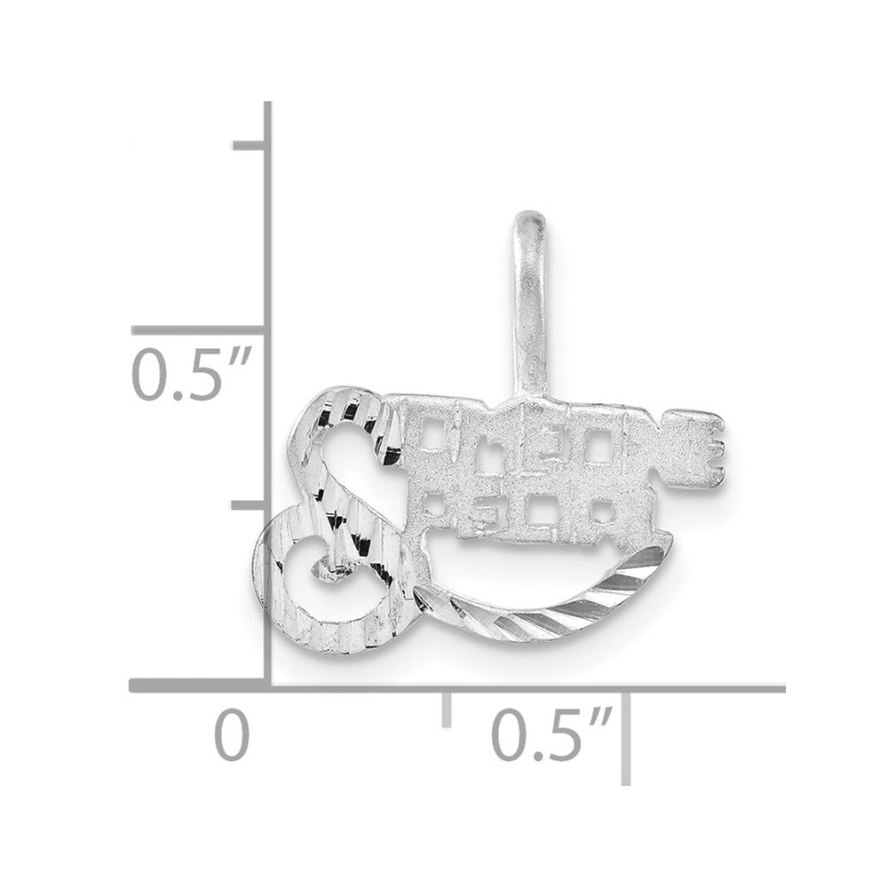 Sterling Silver Brushed & Diamond-Cut Someone Special Charm