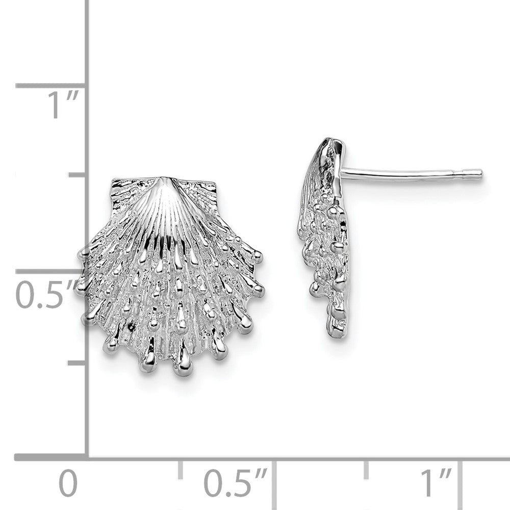 Sterling Silver De-Ani Rhodium-Plated Polished Lions Paw Shell Post Earrings