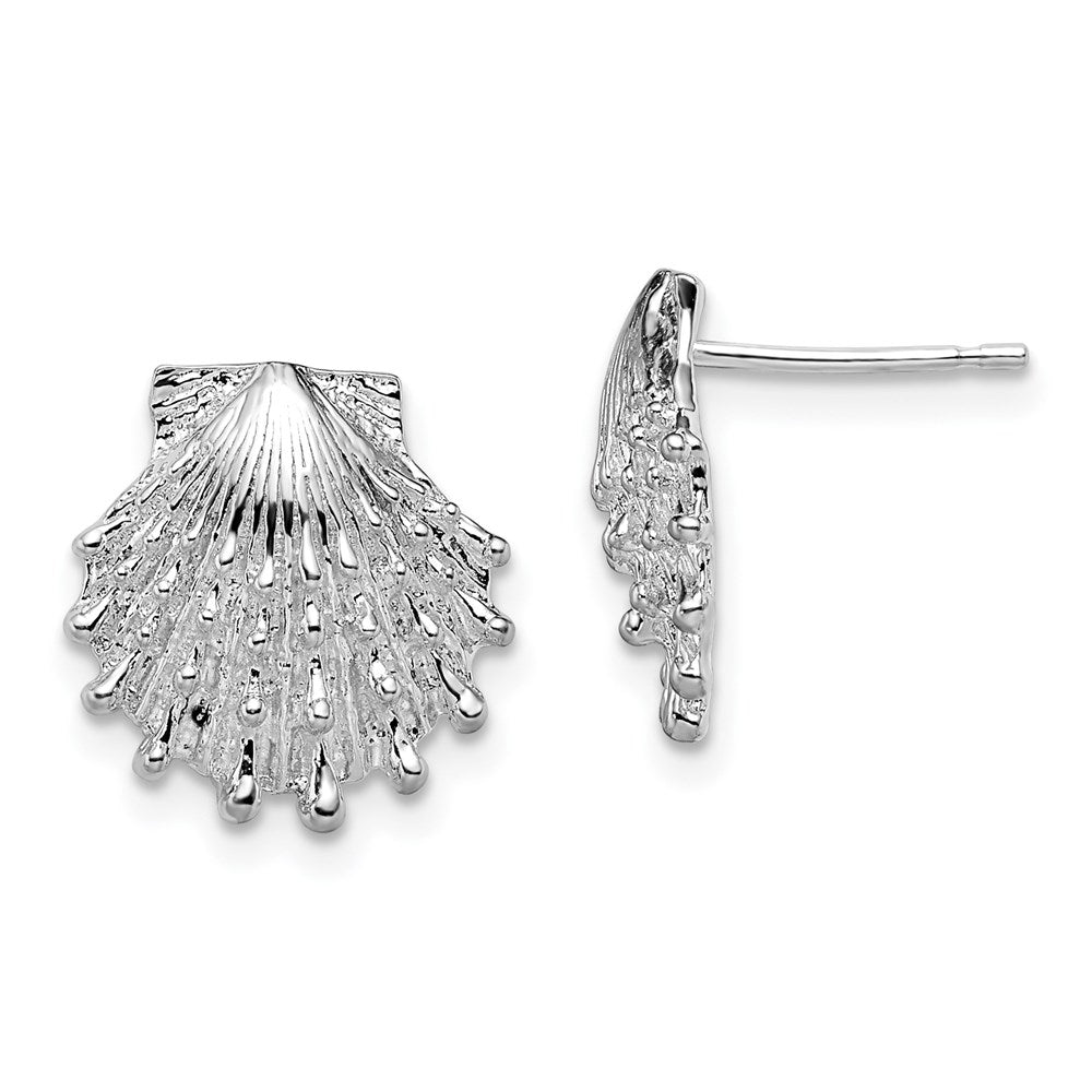 Sterling Silver De-Ani Rhodium-Plated Polished Lions Paw Shell Post Earrings