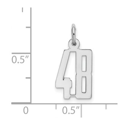 Sterling Silver Silver/Rhodium-Plated Elongated Number 48 Charm