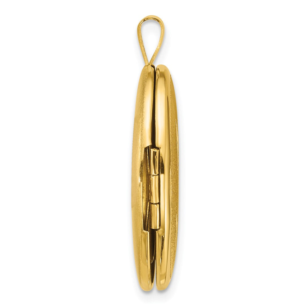 Sterling Silver Gold-Plated Brushed and Polished Dolphin 20mm Oval Locket