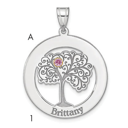 Sterling Silver Silver/Rhod-Plated 1 Birthstone With 14K Bezel Family Pendant
