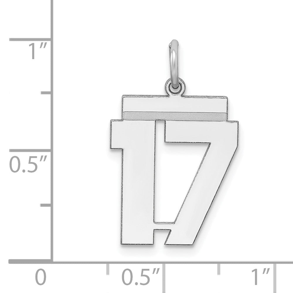 Sterling Silver Sterling/Silver Rhodium-Plated Polished Number 17 Charm