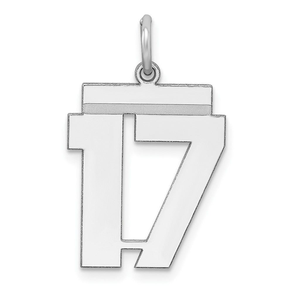 Sterling Silver Sterling/Silver Rhodium-Plated Polished Number 17 Charm