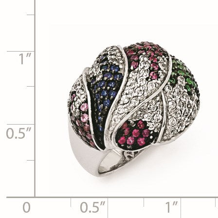 QR5896-6 [QG:QR5896-6:1]