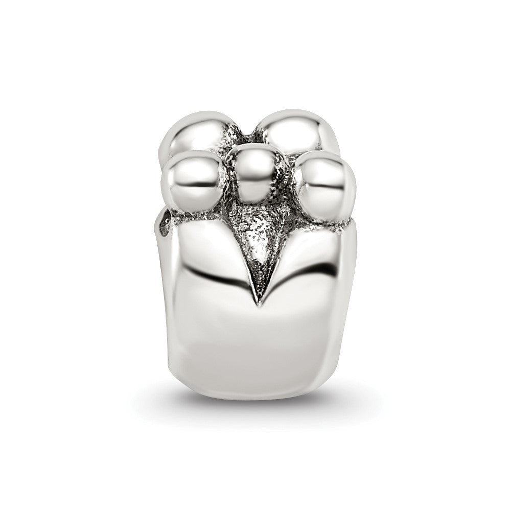 Sterling Silver Reflections Family Of 5 Bead
