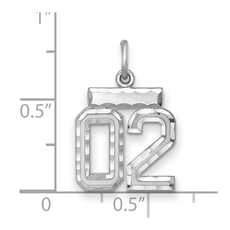 Sterling Silver Rhodium-Plated Small Diamond-Cut #02 Charm