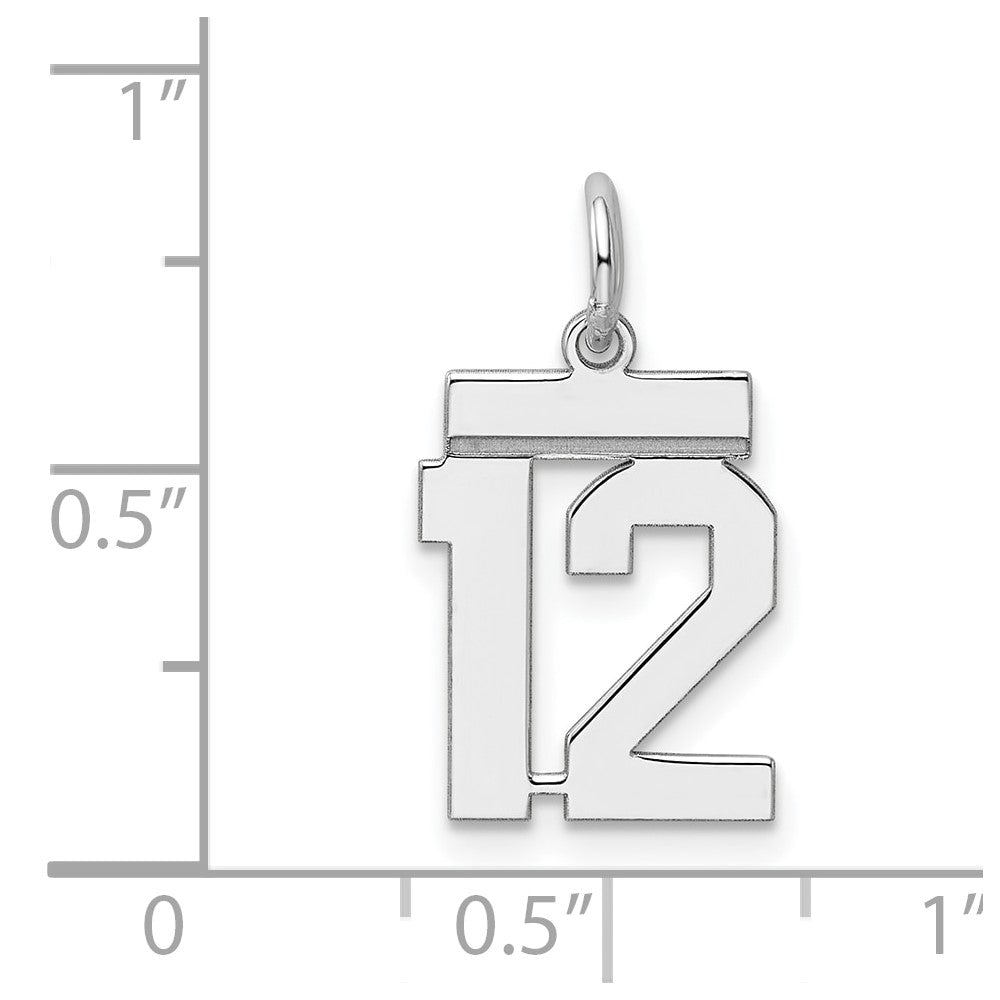 Sterling Silver Silver/Rhodium-Plated Polished Number 12 Charm