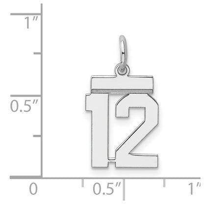 Sterling Silver Silver/Rhodium-Plated Polished Number 12 Charm