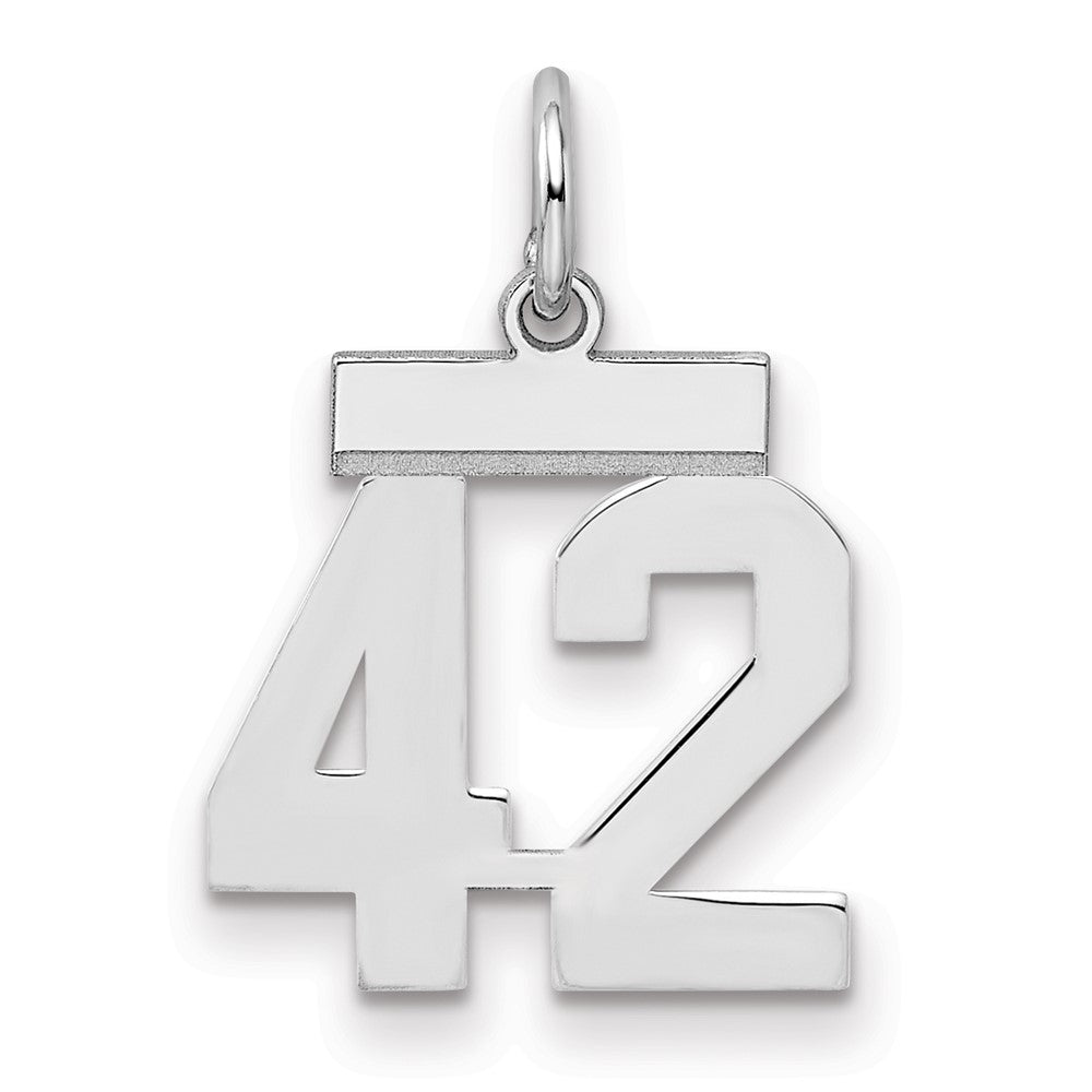 Sterling Silver Silver/Rhodium-Plated Polished Number 42 Charm