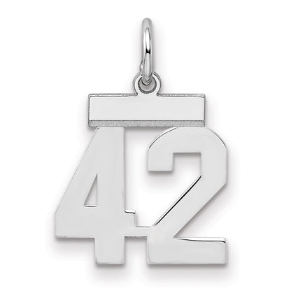Sterling Silver Silver/Rhodium-Plated Polished Number 42 Charm