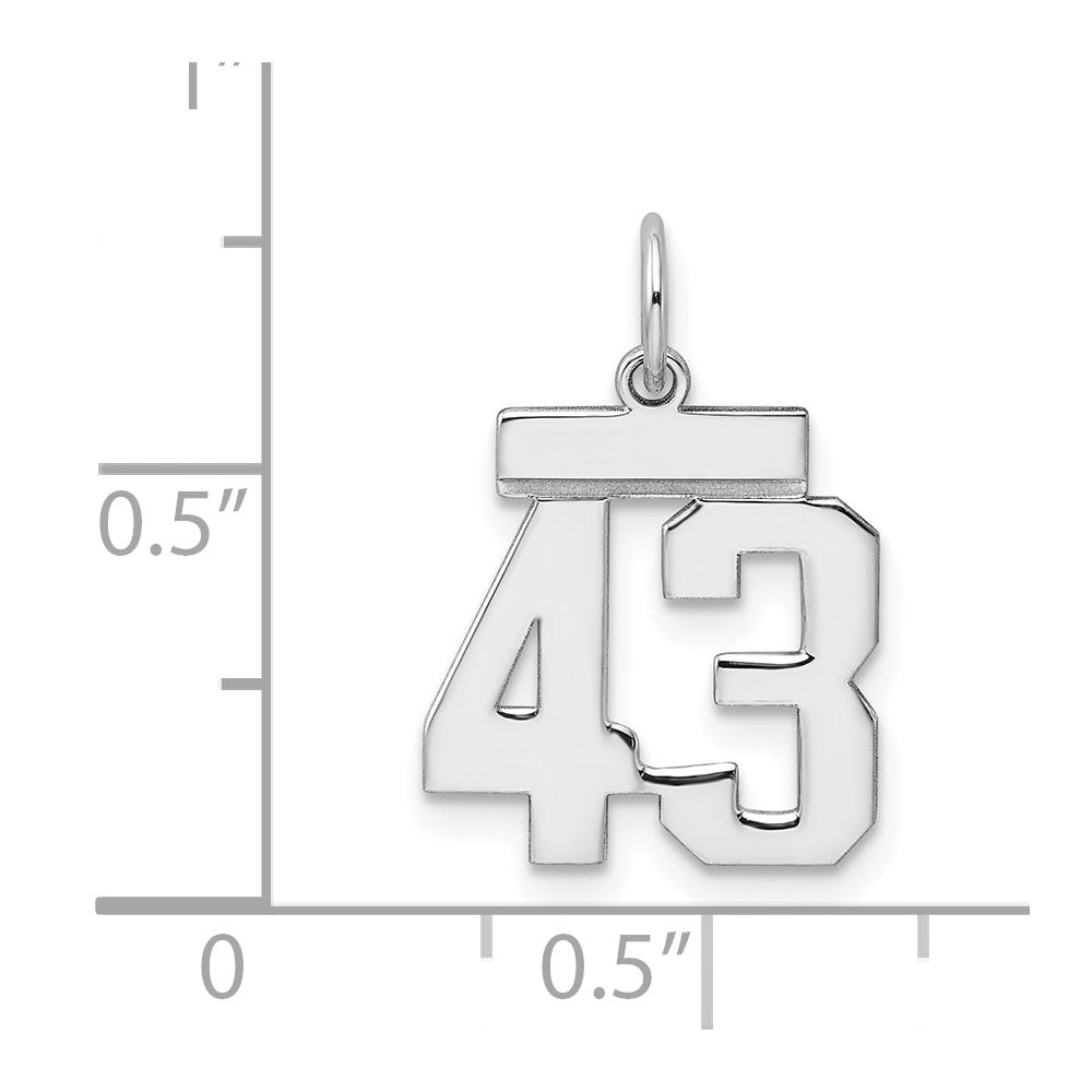 Sterling Silver Silver/Rhodium-Plated Polished Number 43 Charm