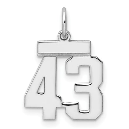 Sterling Silver Silver/Rhodium-Plated Polished Number 43 Charm