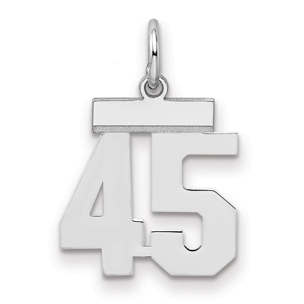 Sterling Silver Silver/Rhodium-Plated Polished Number 45 Charm