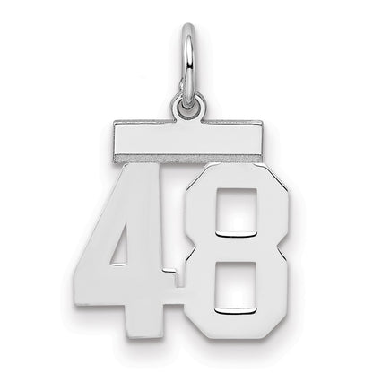 Sterling Silver Silver/Rhodium-Plated Polished Number 48 Charm