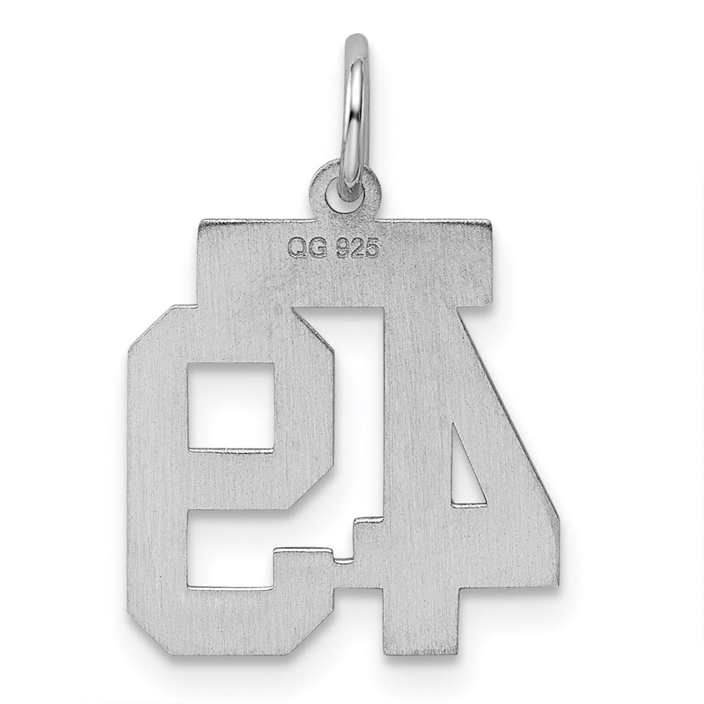 Sterling Silver Silver/Rhodium-Plated Polished Number 49 Charm