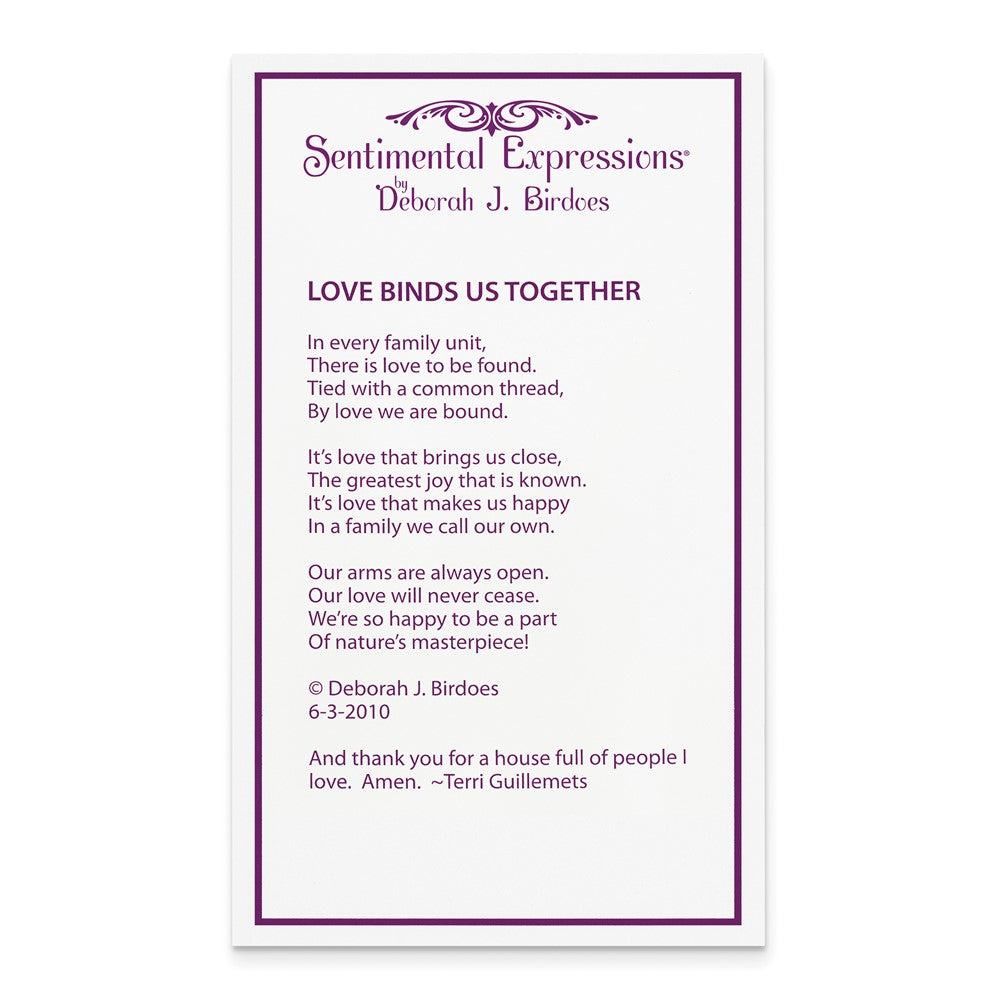 Sterling Silver Cz Love Binds Us Together 18In Necklace