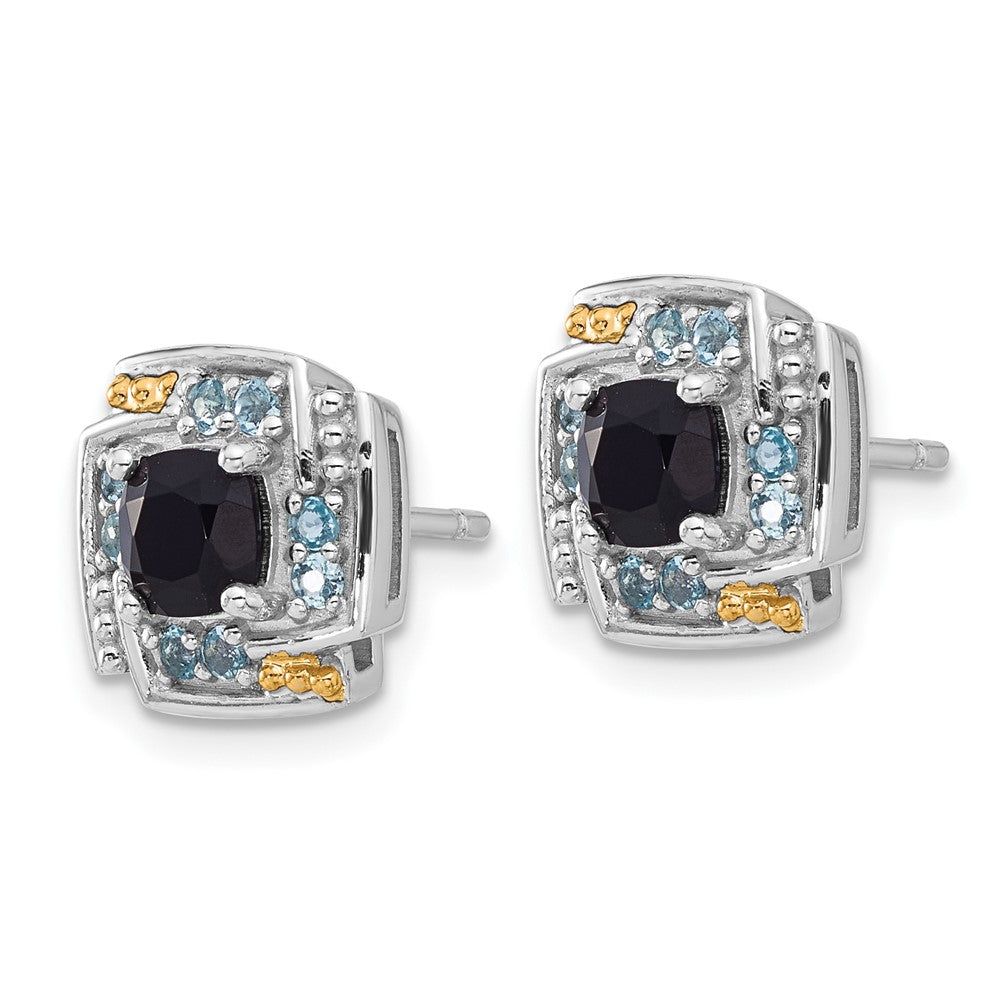 Sterling Silver Rh-Pl w/14K/Silver Two-Tone .96 Onyx / .33 Swiss Blue Topaz Post Earrings