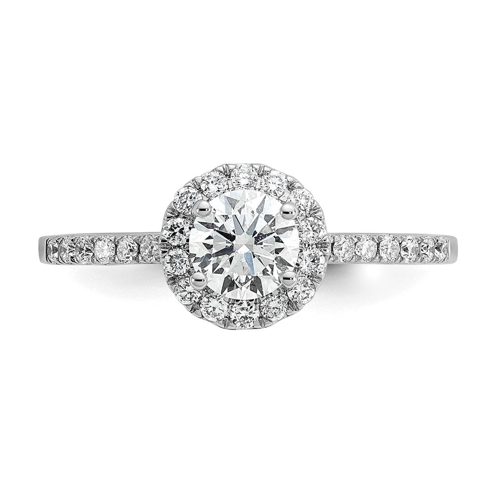 14K White Gold Halo (Holds 1/2 Carat (5.2mm) Round Center) 1/4 Diamond Semi Mount Engagement Ring