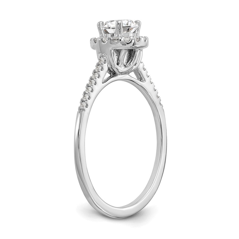 3/4 Ct. T.W. Natural Diamond Halo Engagement Ring in 14K White Gold