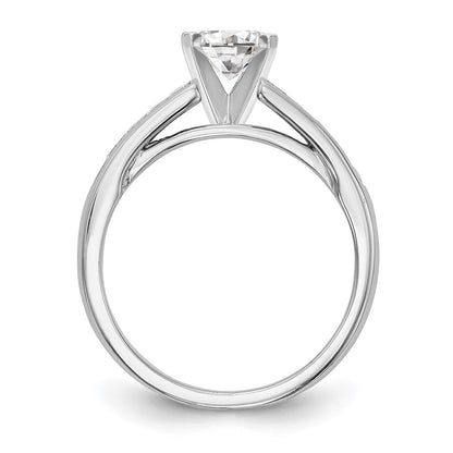 14k White Gold 1/5 Ct. Lab Grown Diamond VS/SI+ G+ Pet Set Engagement Ring