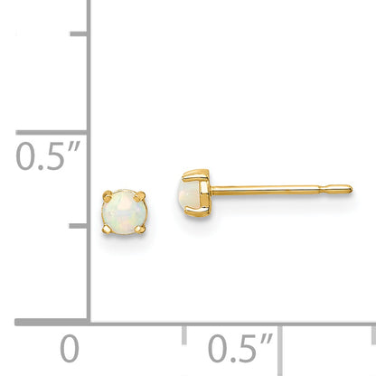 14K Yellow Gold Madi K Synthetic Lab Created Opal Post Earrings