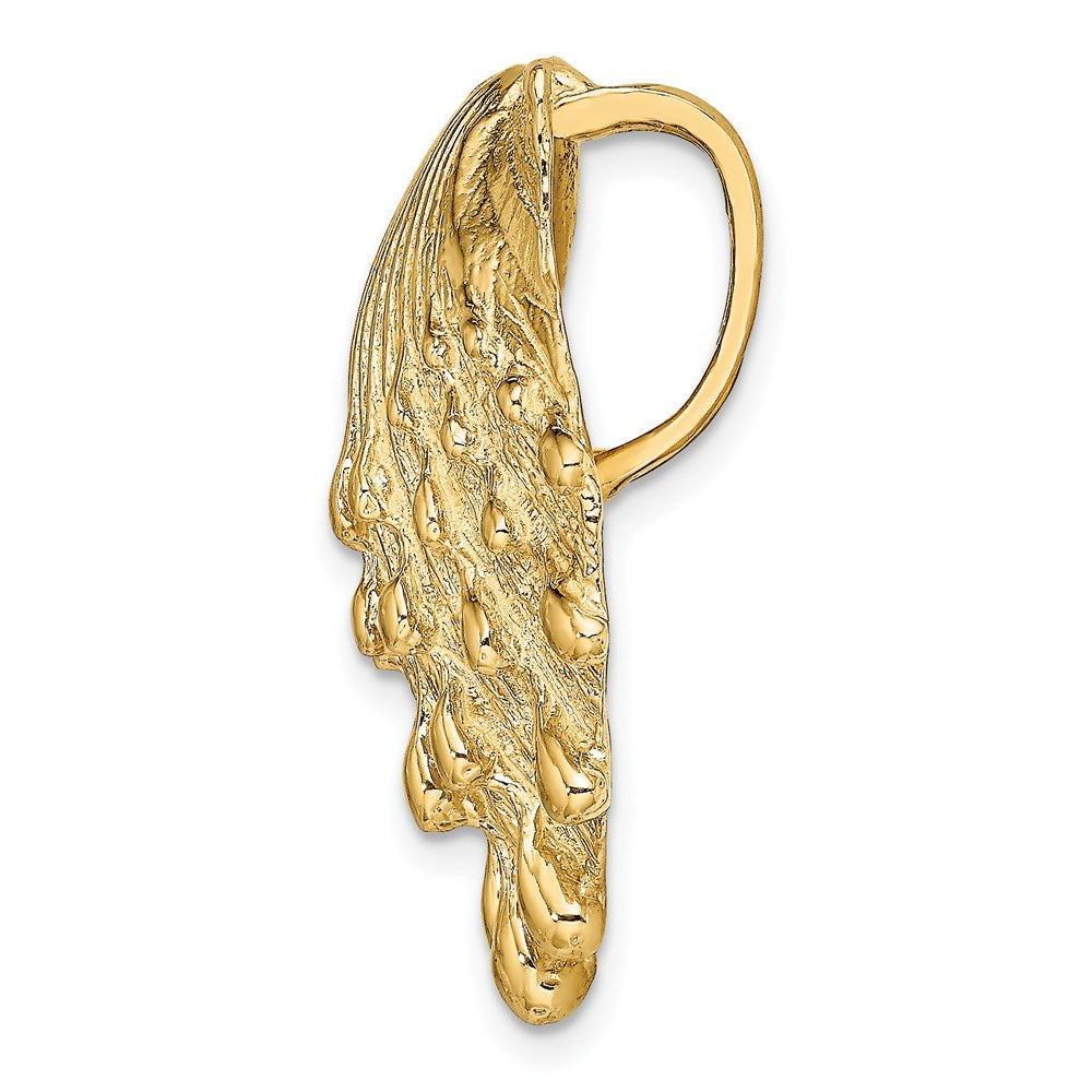 14K Yellow Gold Lion'S Paw Shell Slide